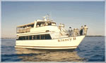 The Elegant Klancy II