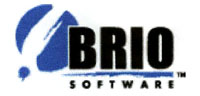 Brio Software Logo